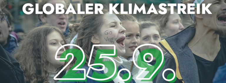 FFF Globaler Klimastreik