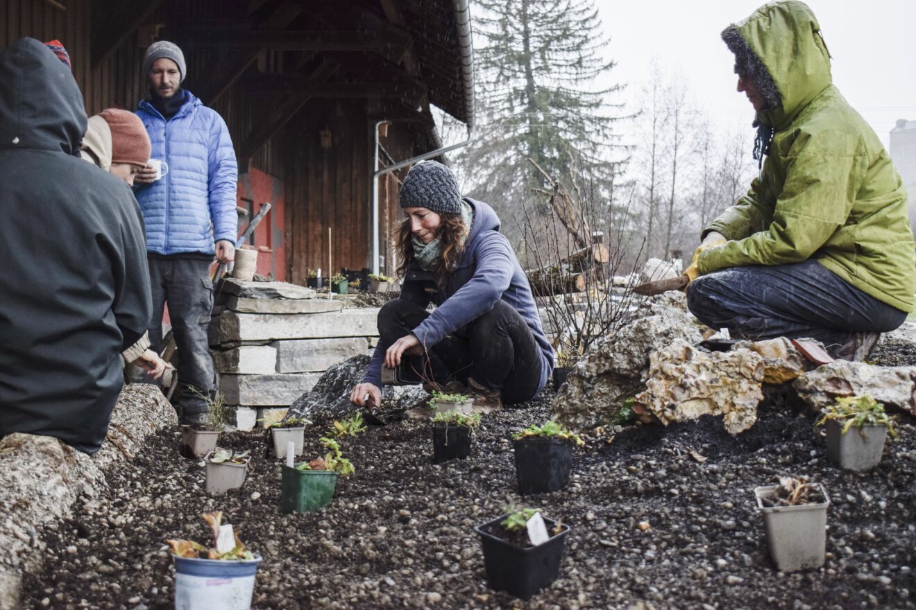 Biberhof: Blühparadies im Klimagarten bepflanzt