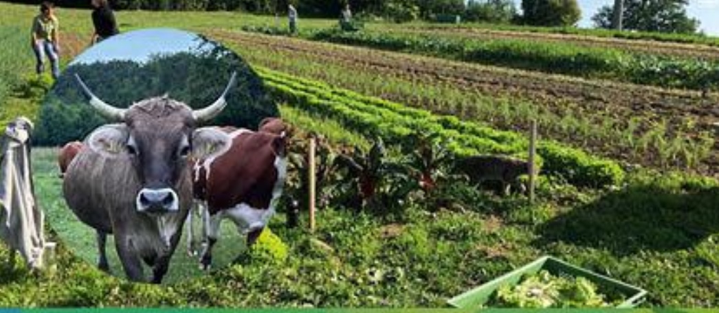 15.02. Landwirtschafts-Symposium mit Thema ＂Zukunft Landwirtschaft und Ernährung＂ in Durach