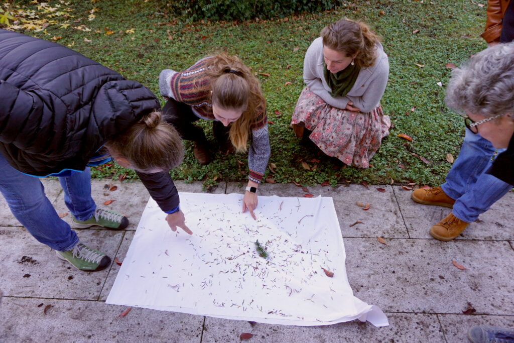 Blühbotschafter-Kongress 2